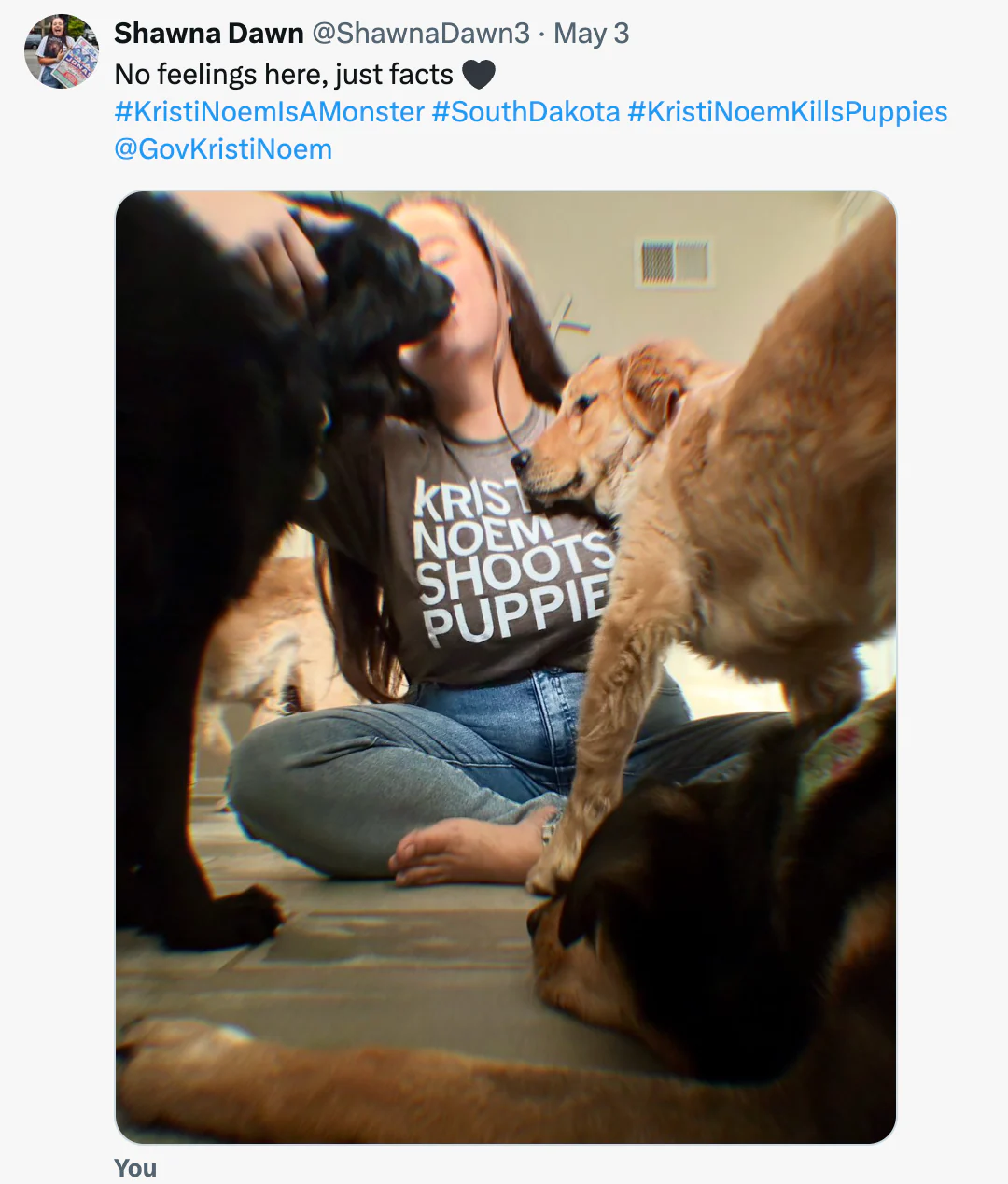 Kristi Noem Shoots Puppies - Image 7