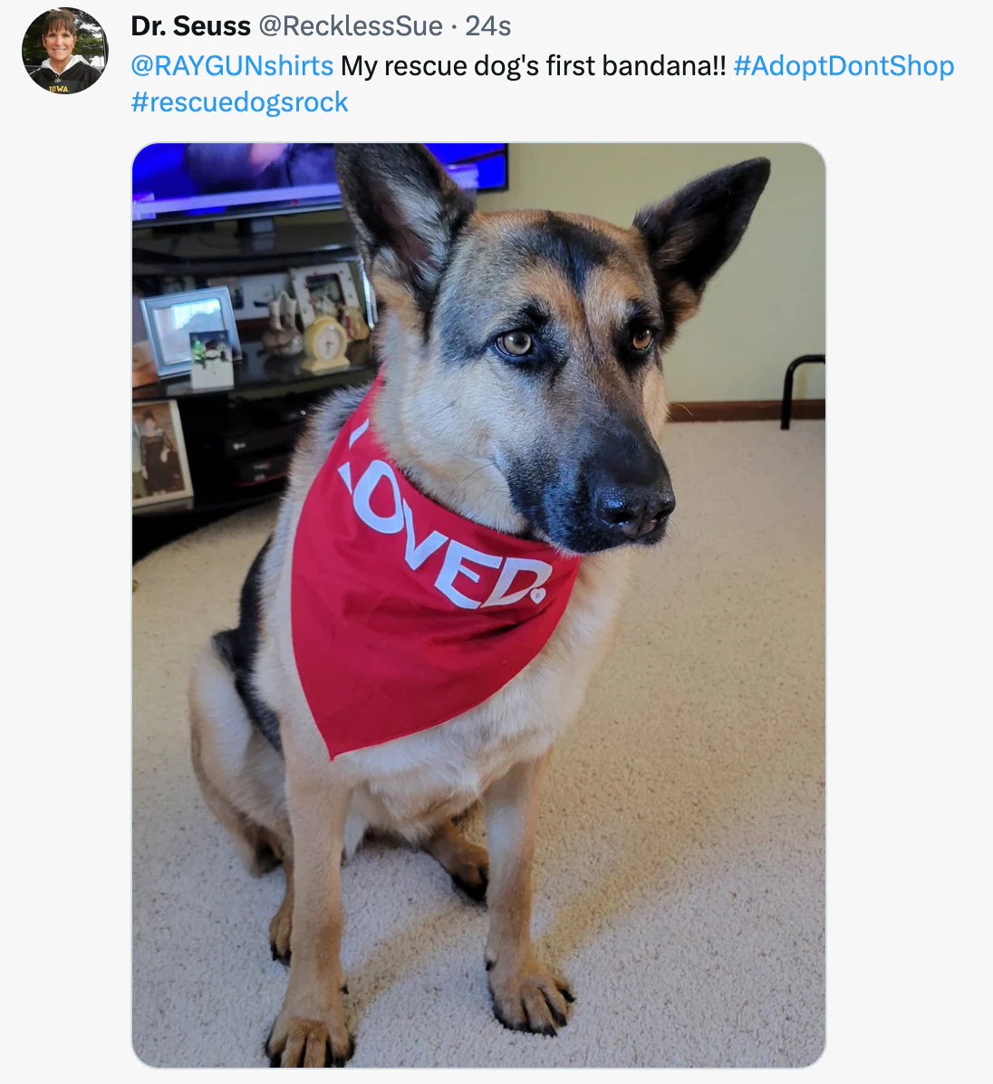 Loved Dog Bandana - Image 3