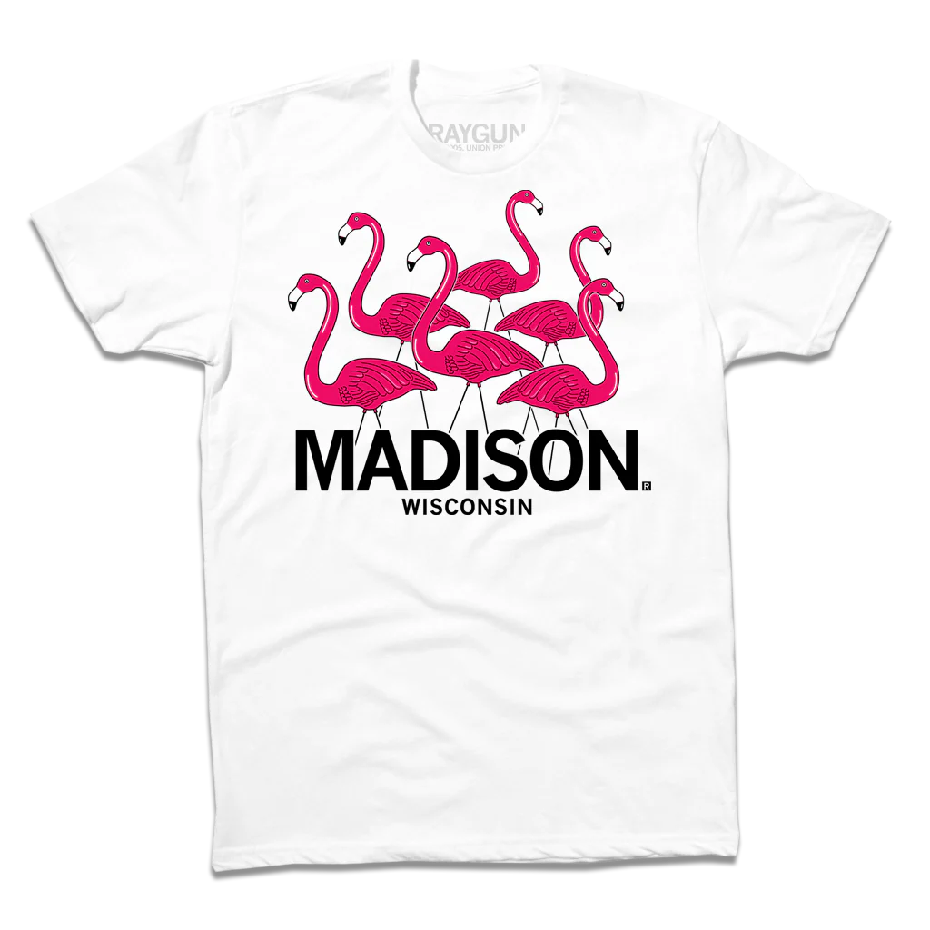 Madison Flamingos - Image 2