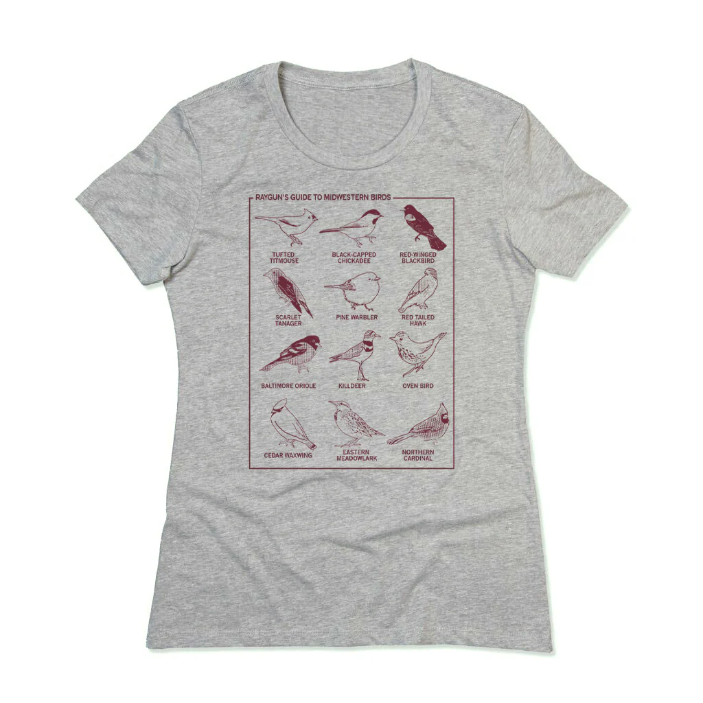Midwestern Birds - Image 3