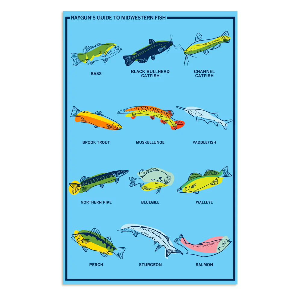 Midwestern Fish Poster