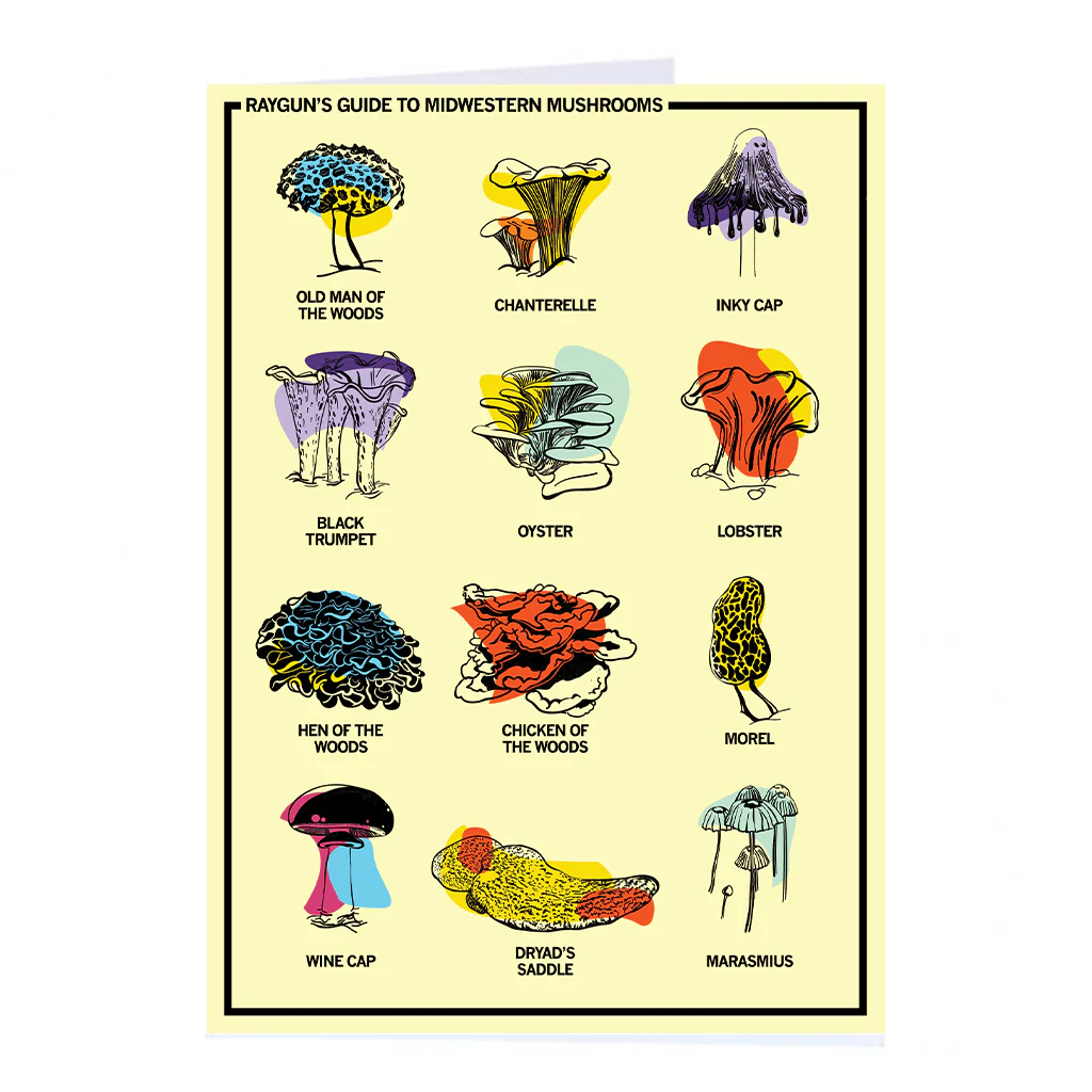 Midwestern Mushrooms Greeting Card