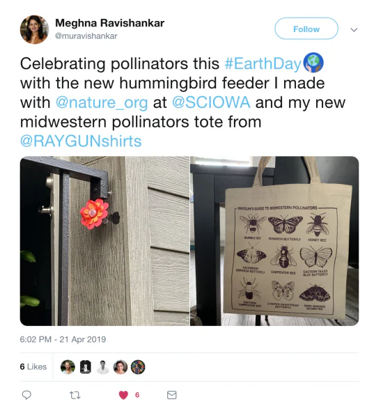 Midwestern Pollinators Tote Bag - Image 3