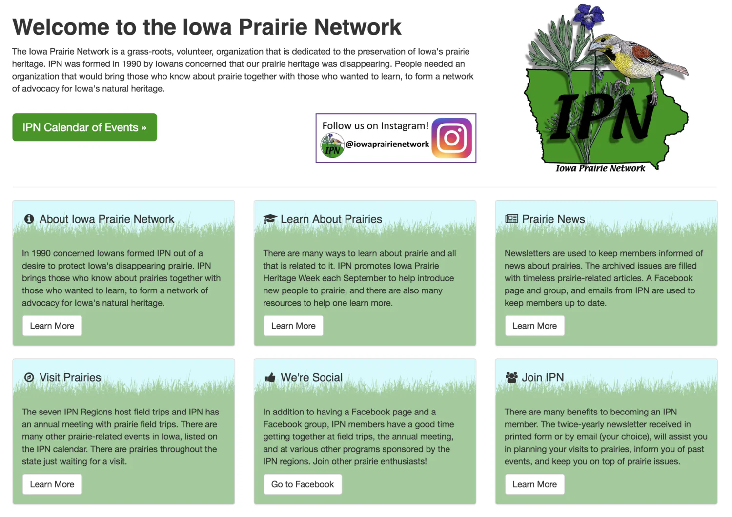 Midwestern Prairie Flowers - Image 4