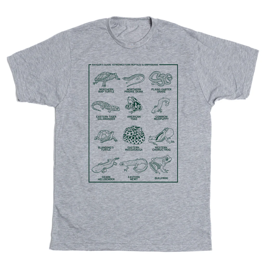 Midwestern Reptiles & Amphibians - Image 2