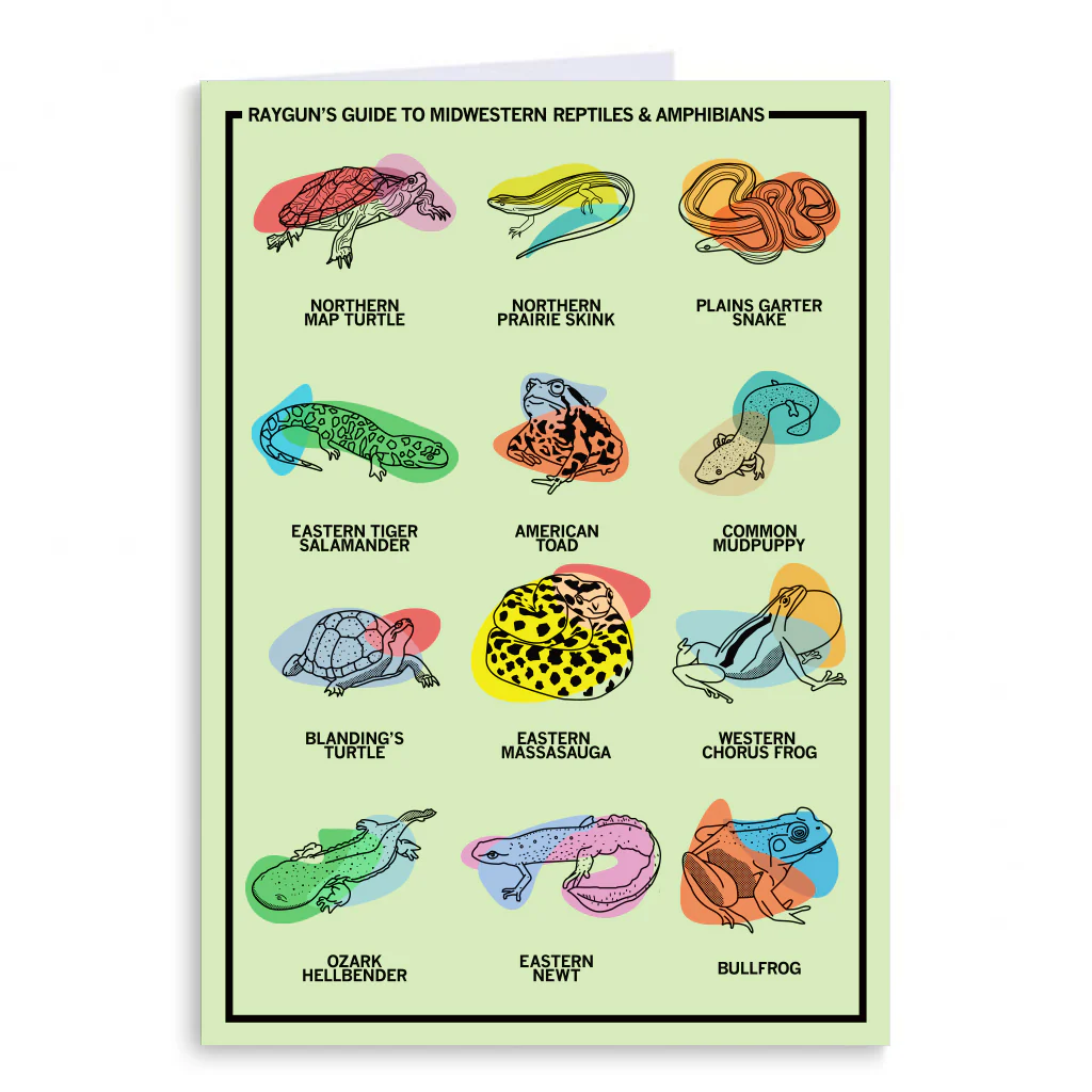 Midwestern Reptiles & Amphibians Greeting Card