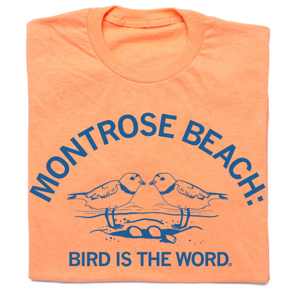 Montrose Beach: Bird is the Word