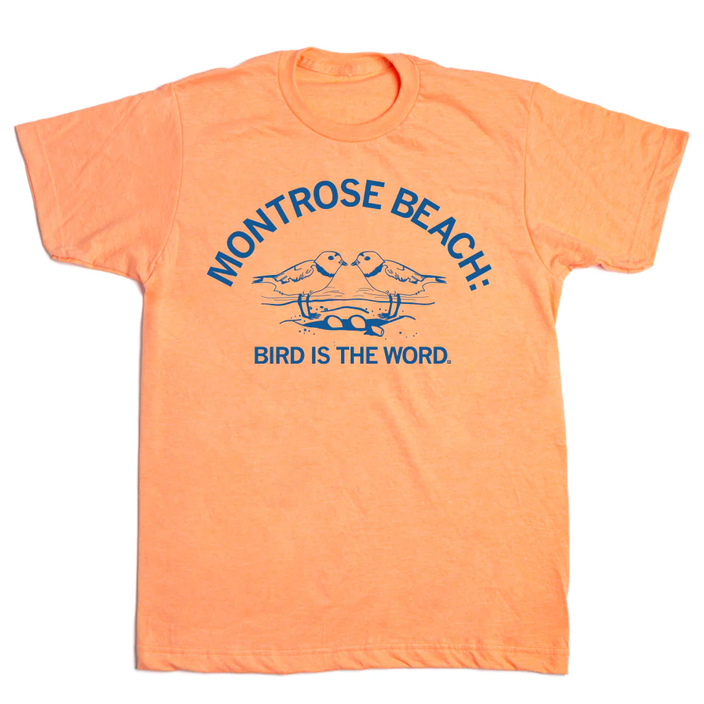 Montrose Beach: Bird is the Word - Image 2