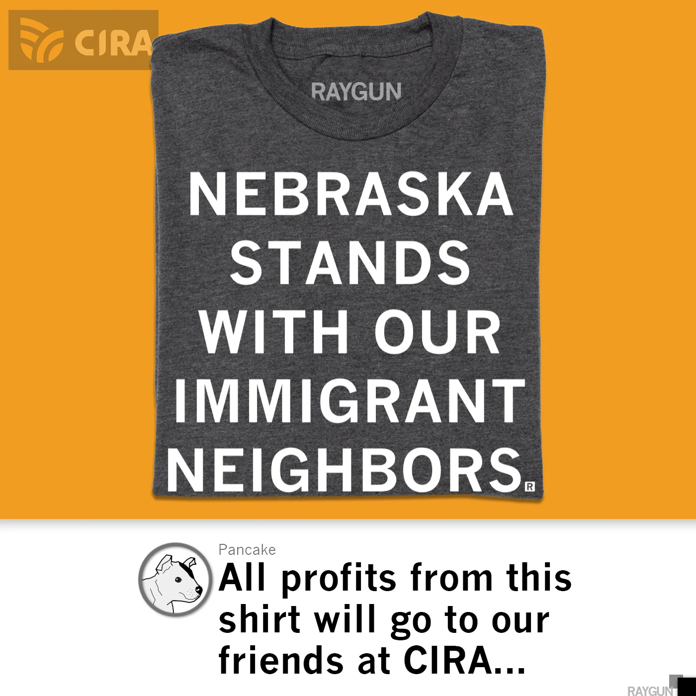 Nebraska Stands With Our Immigrant Neighbors - Image 5