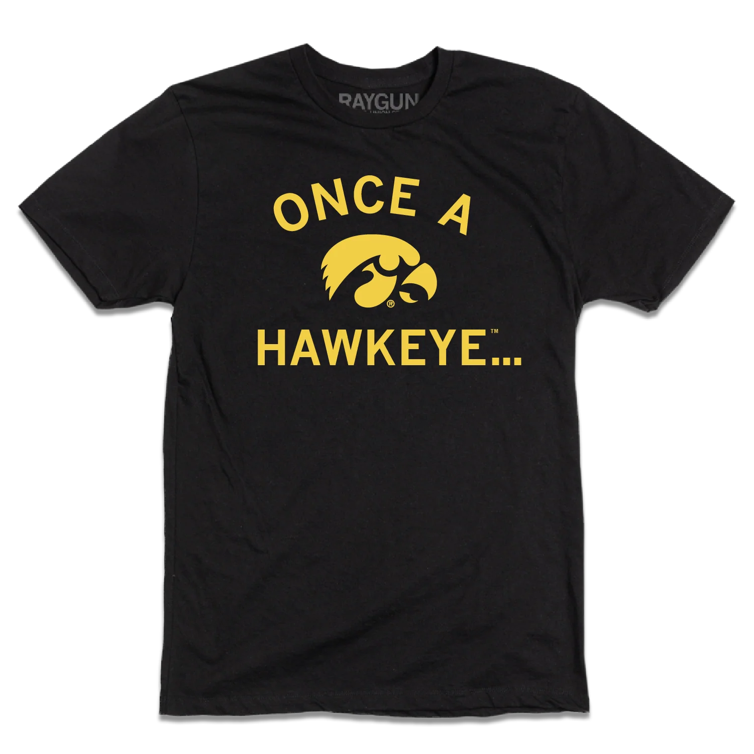 Once A Hawkeye - Image 2