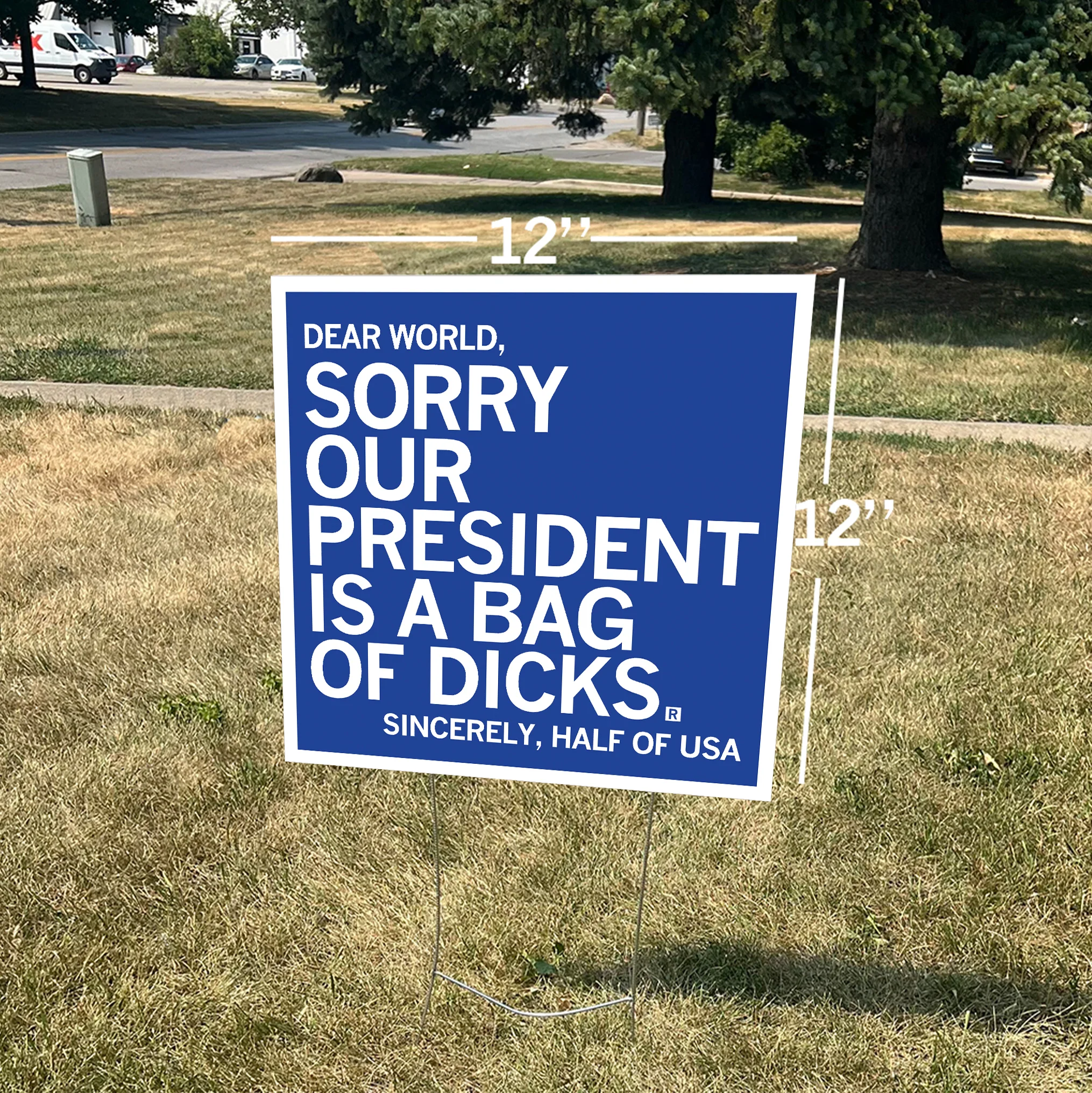 Our President is a Bag of Dicks Yard Sign - Image 2