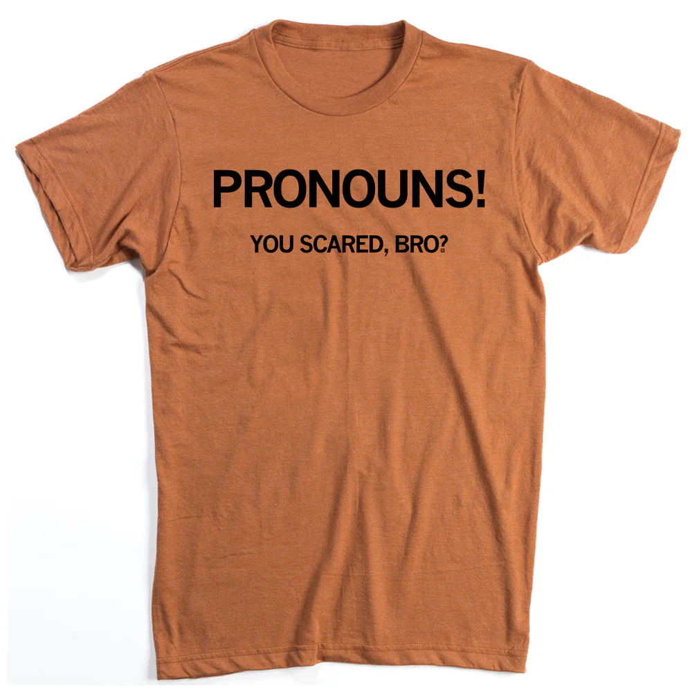 Pronouns! You Scared Bro? - Image 2