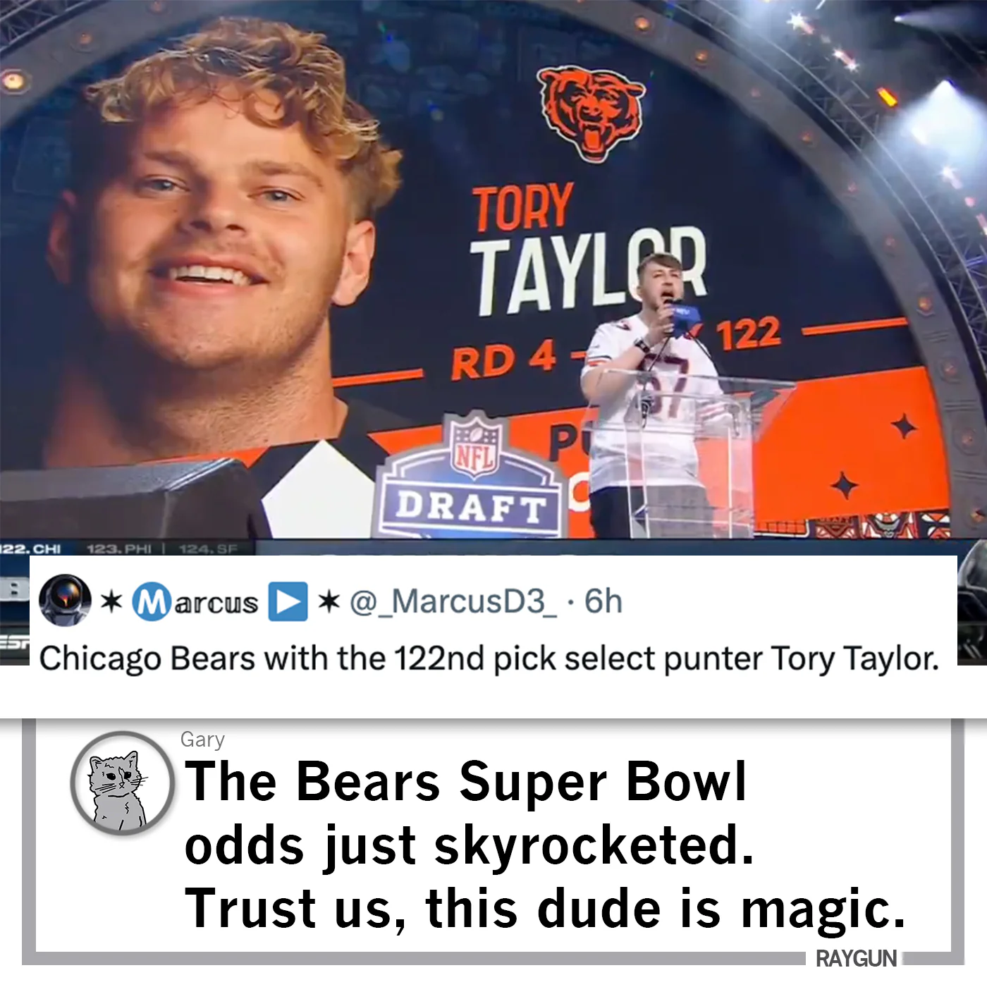 Punting is Winning Bears - Image 3