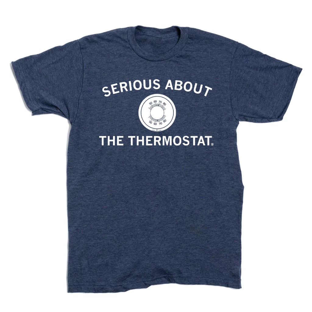 Serious About The Thermostat - Image 2