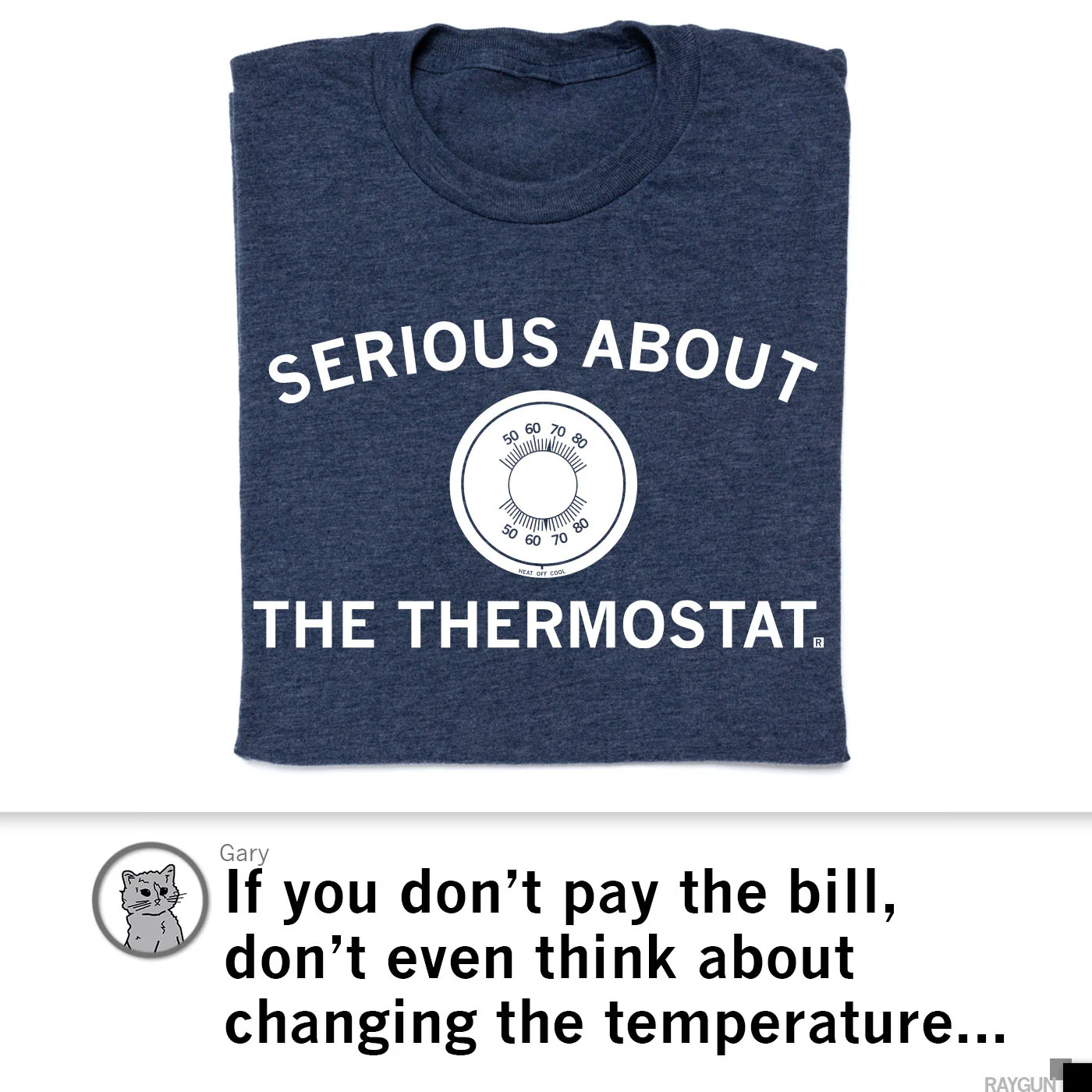 Serious About The Thermostat - Image 3