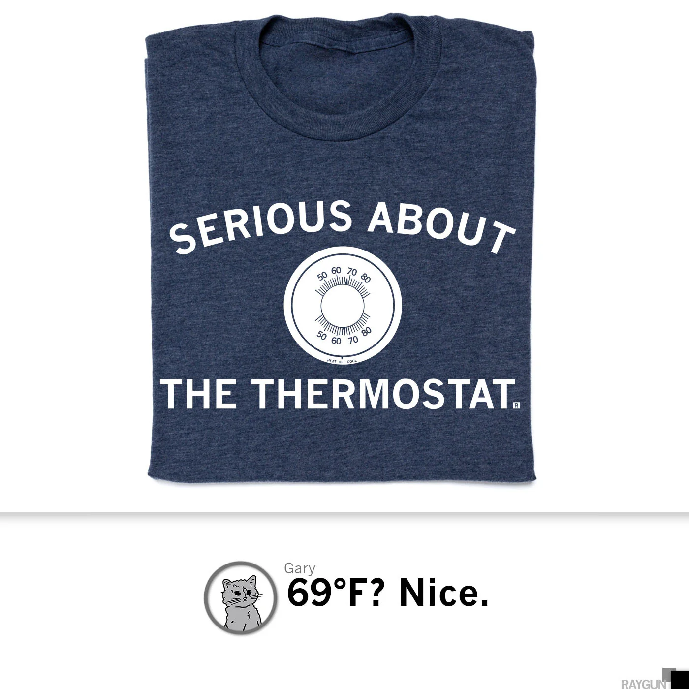 Serious About The Thermostat - Image 4