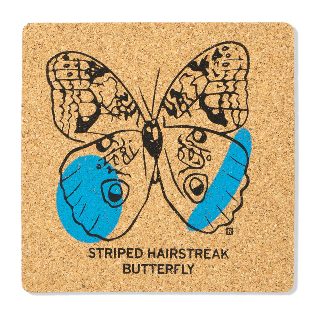 Striped Hairstreak Butterfly Cork Coaster