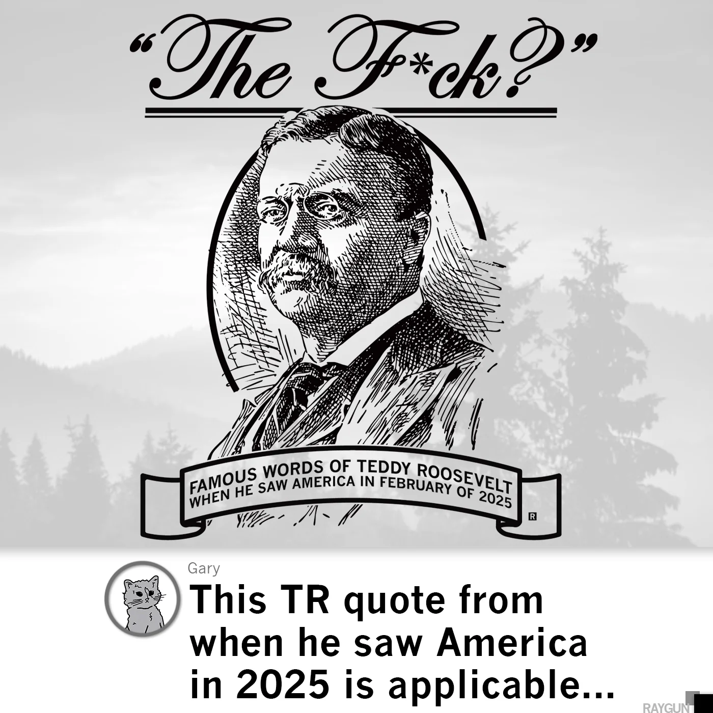 The F? Teddy Roosevelt Quote - Image 3