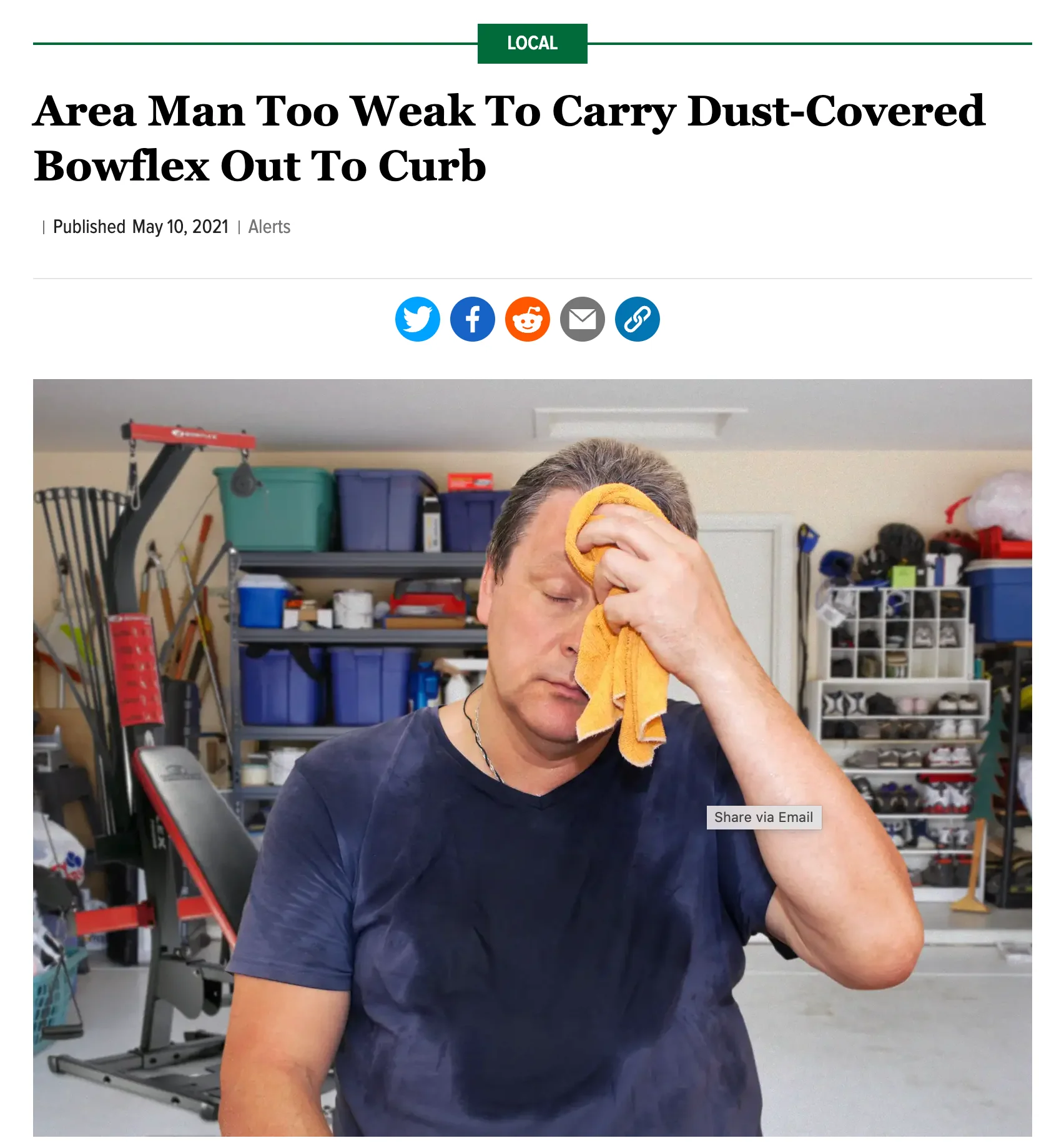 The Onion: Area Man - Image 4