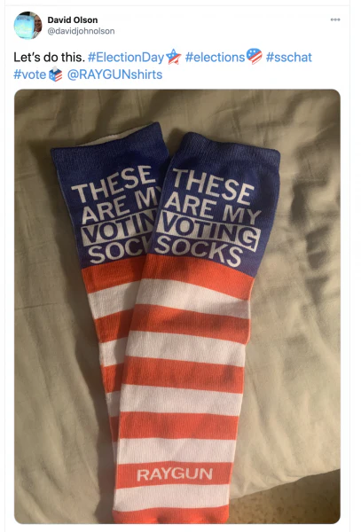 These Are My Voting Socks - Image 4