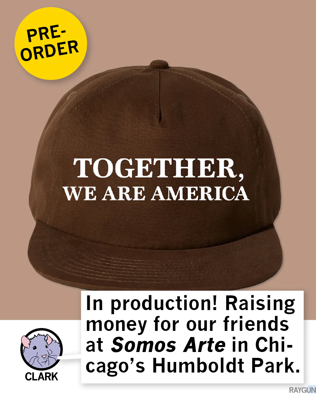 Together We Are America Brown Hat - Image 2