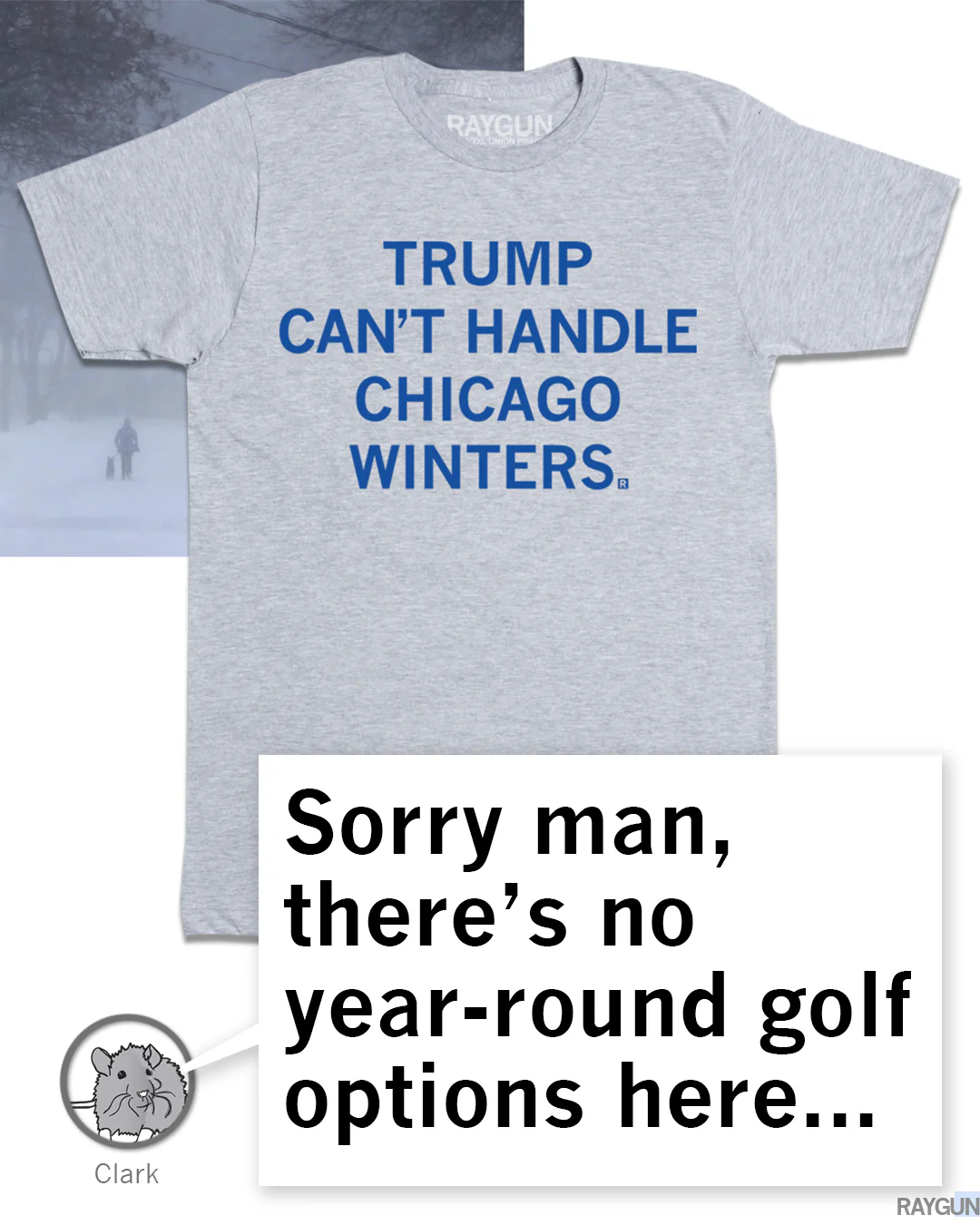 Trump Can't Handle Chicago Winters - Image 4