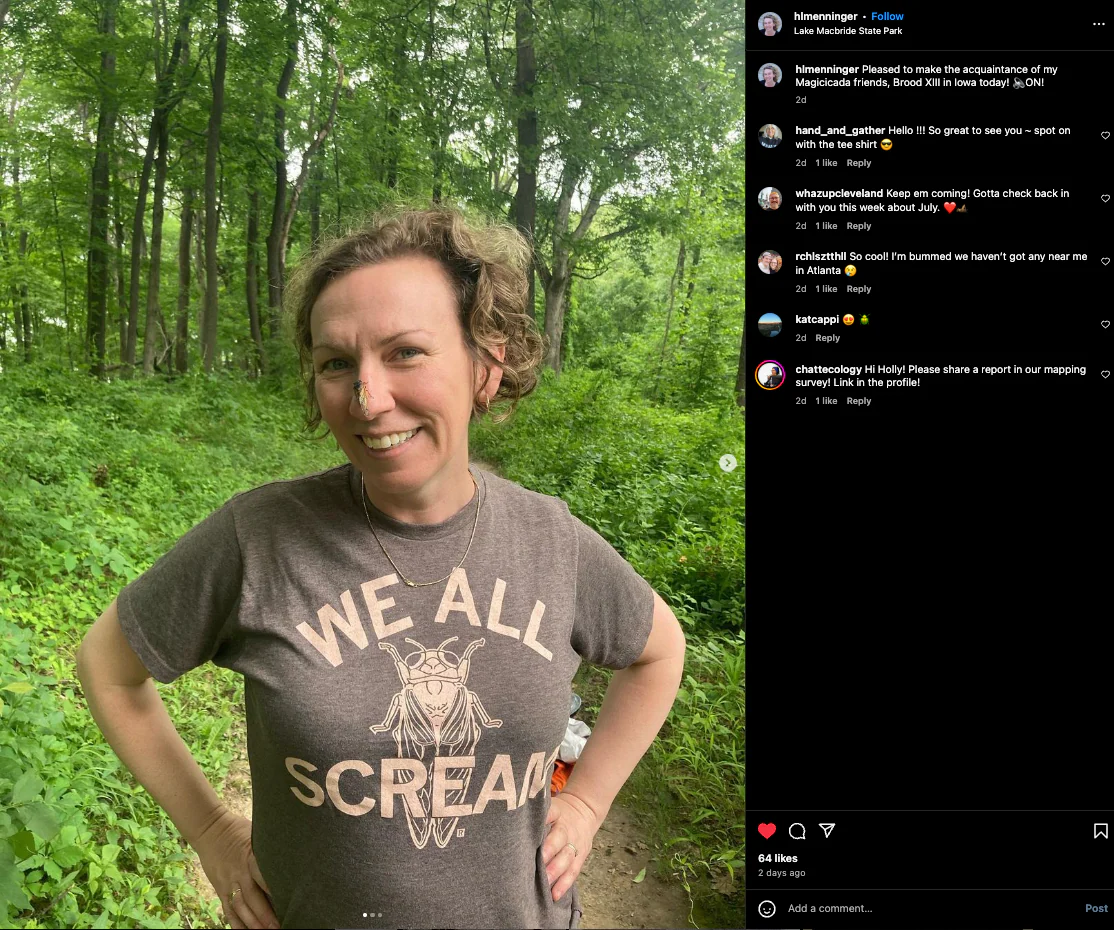 We All Scream Cicada - Image 3