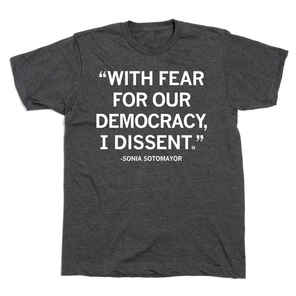 With Fear For Our Democracy - Image 2