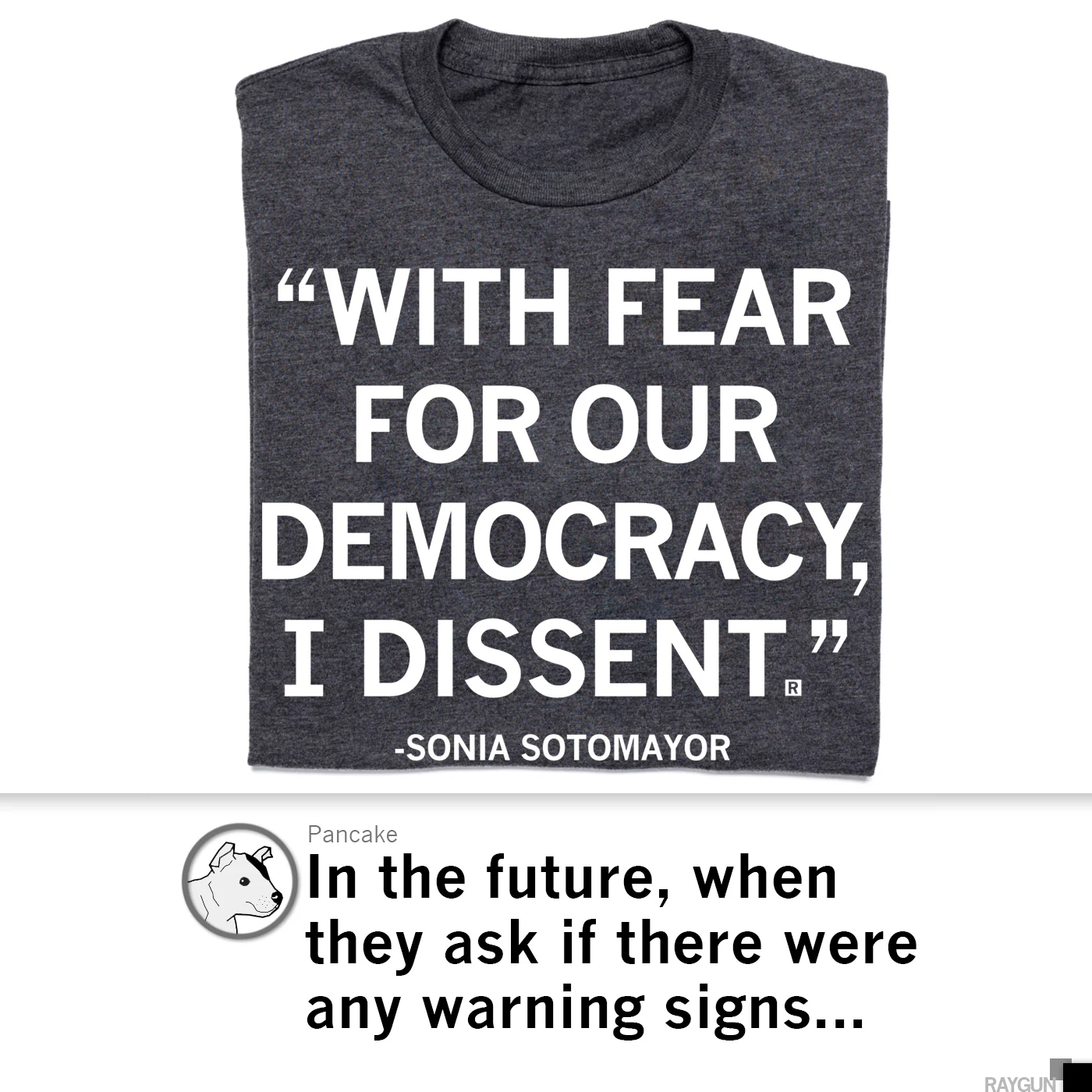 With Fear For Our Democracy - Image 4